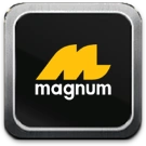 Magnum Pools